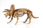 dinopets.jpg