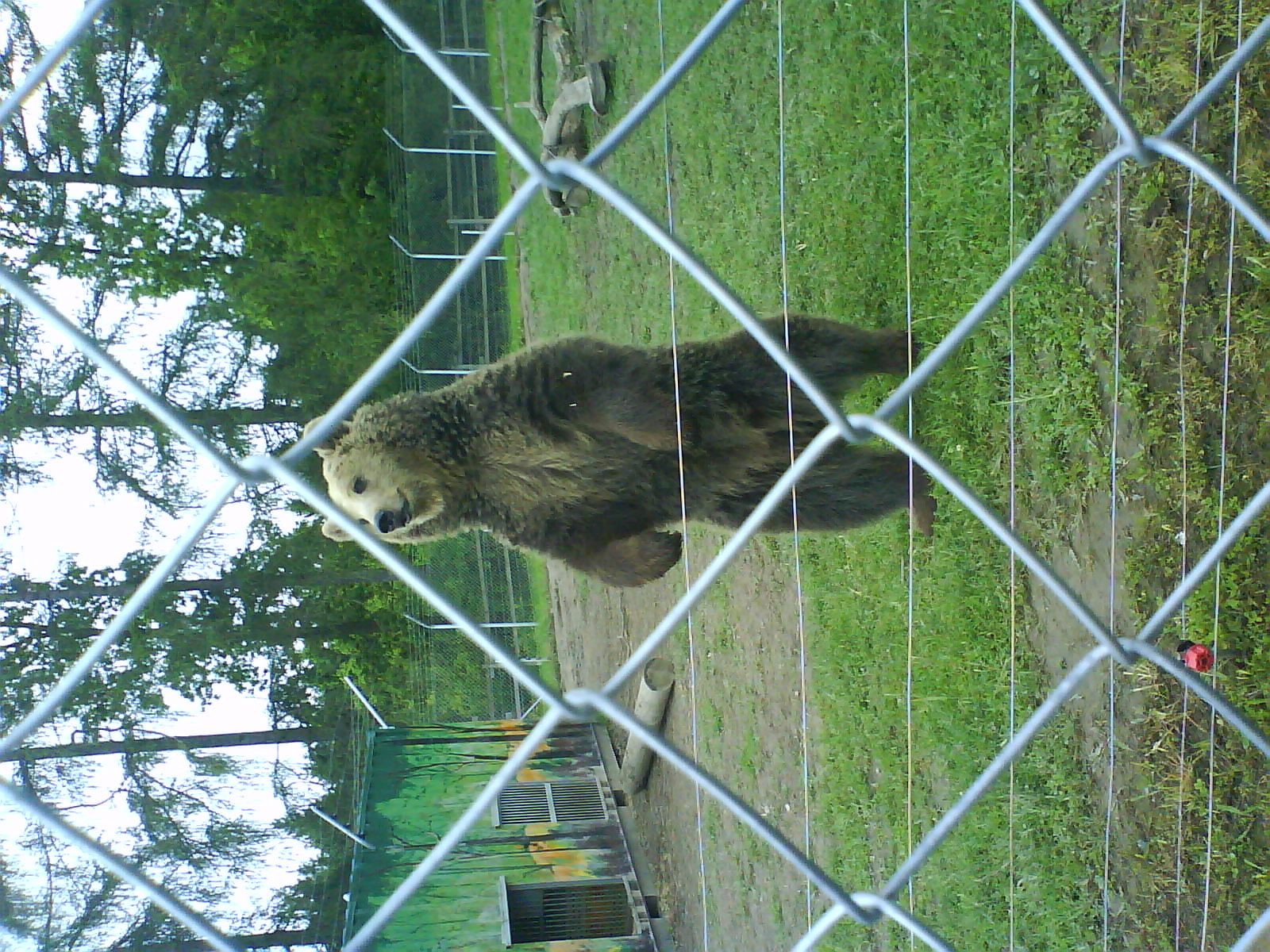 DSC01885.jpg