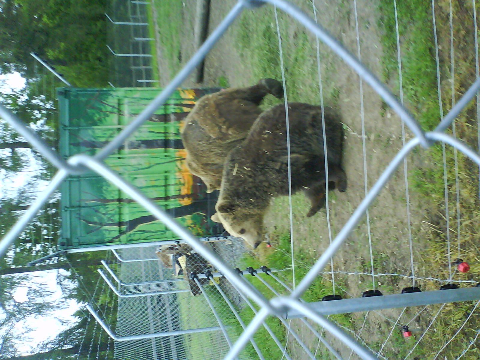 DSC01886.jpg