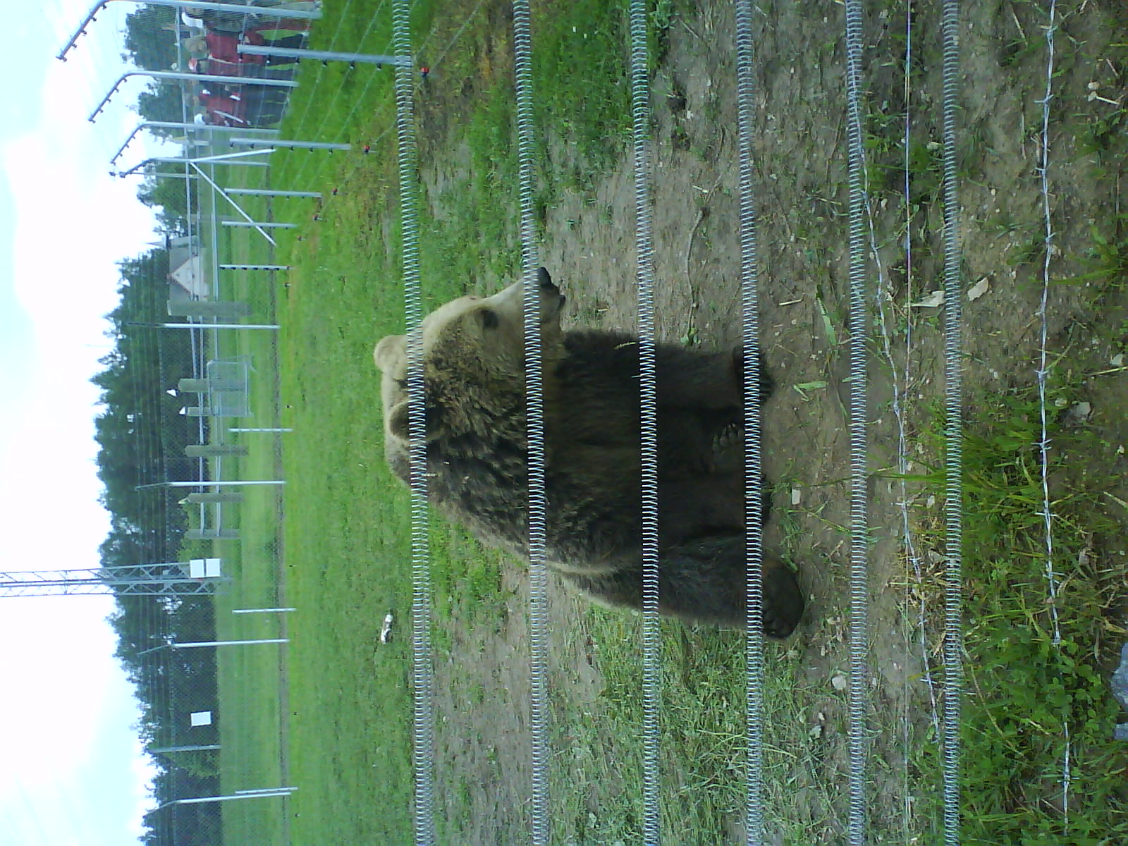DSC01887.jpg