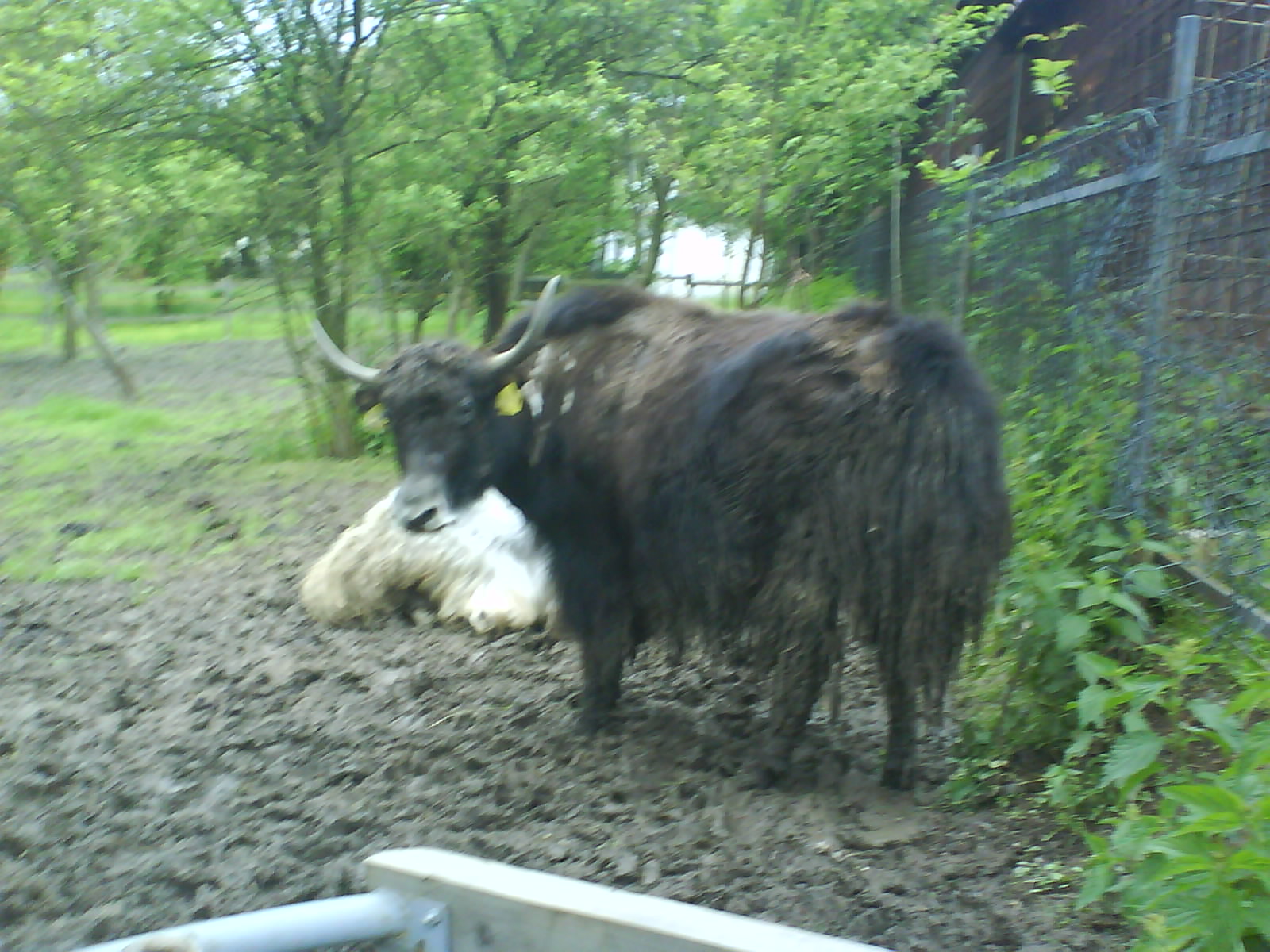 DSC01904.jpg