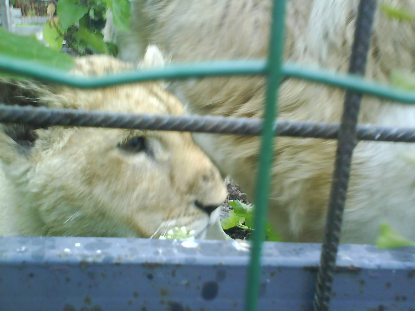 DSC01911.jpg