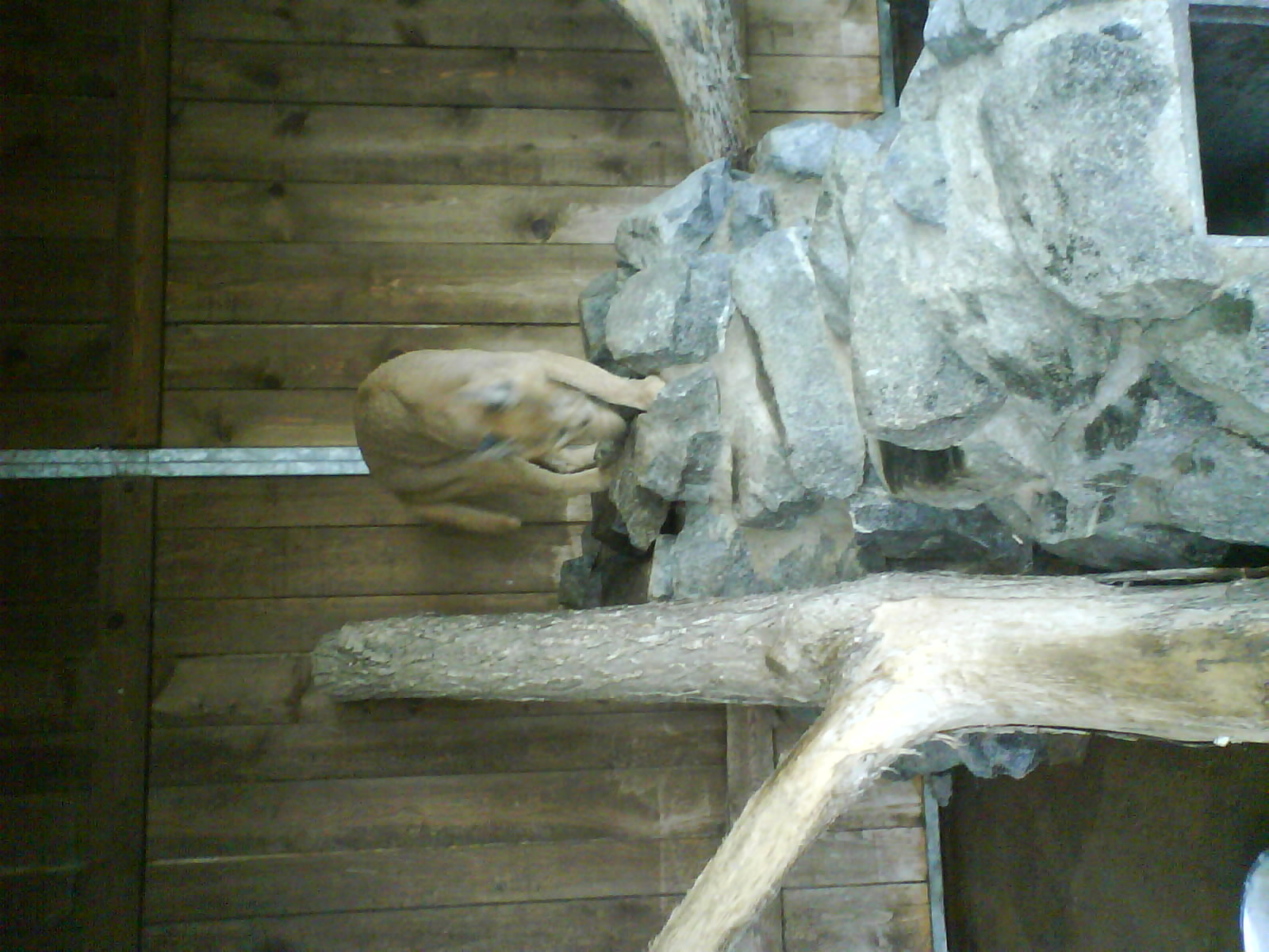 DSC01913.JPG