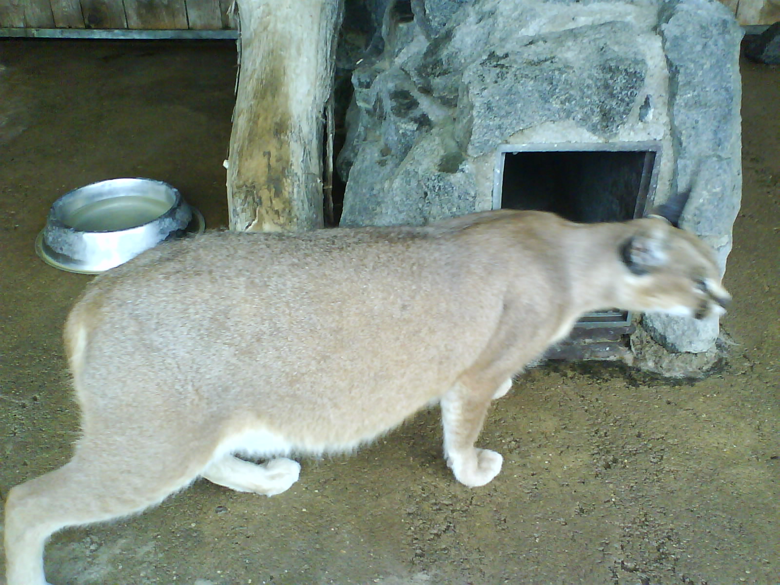 DSC01920.jpg