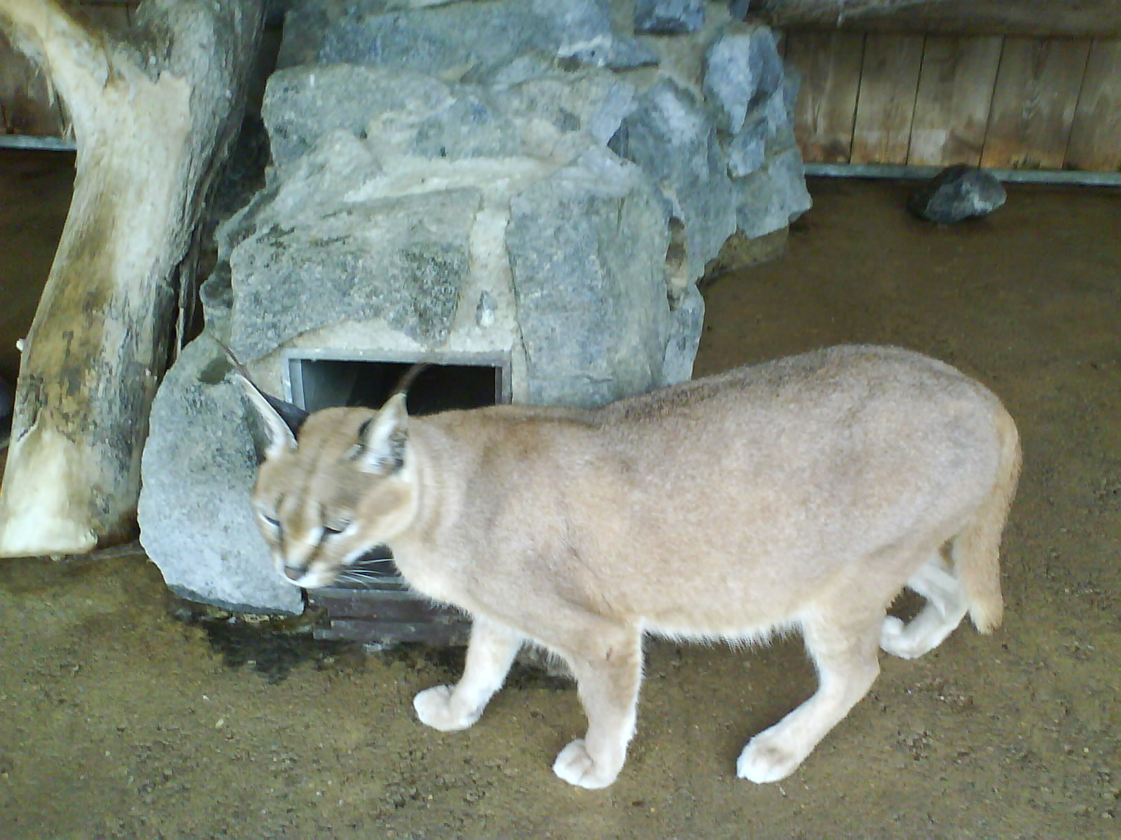 DSC01921.jpg
