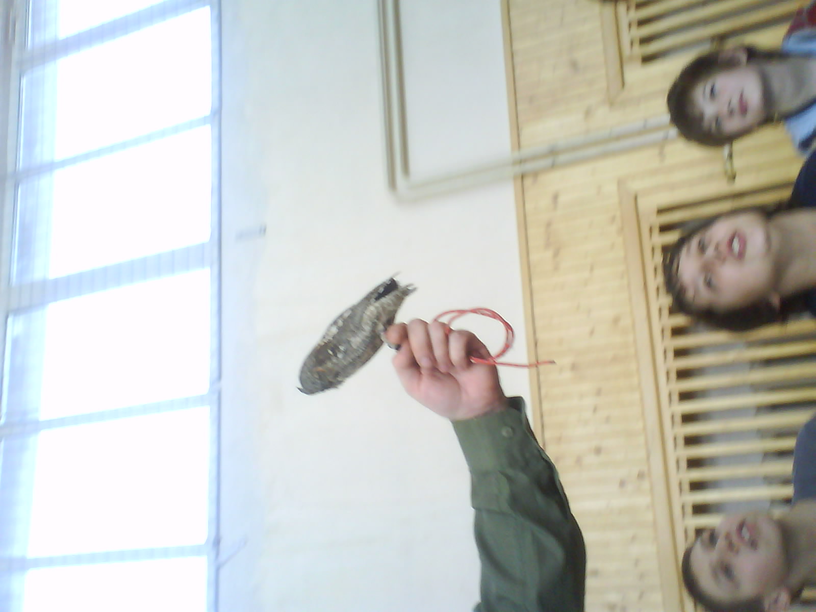 DSC01637.JPG