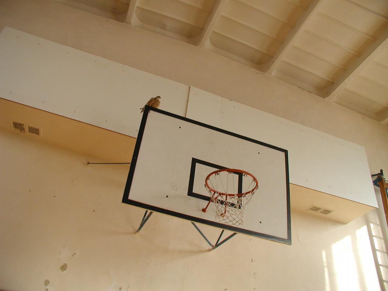 D7.jpg